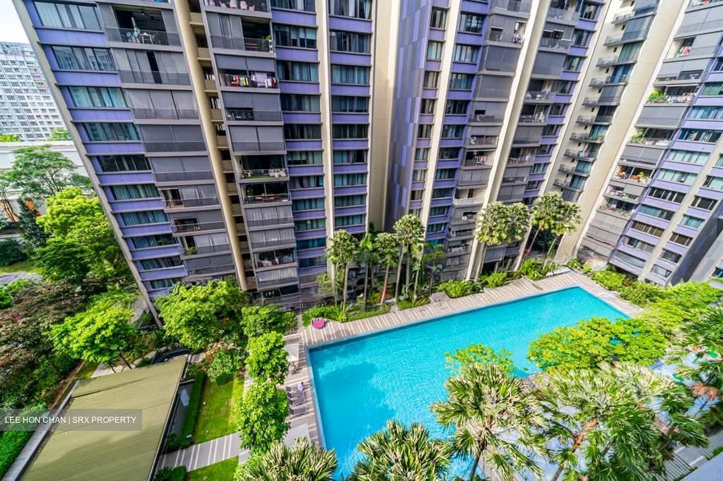 The Amore (D19), Condominium #564565491